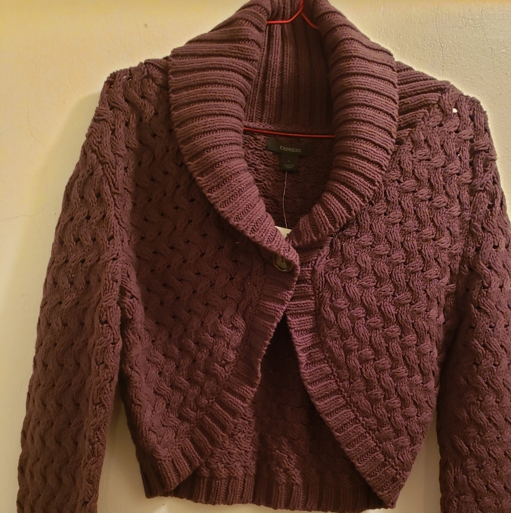 Express Basket Weave Sweater (new)